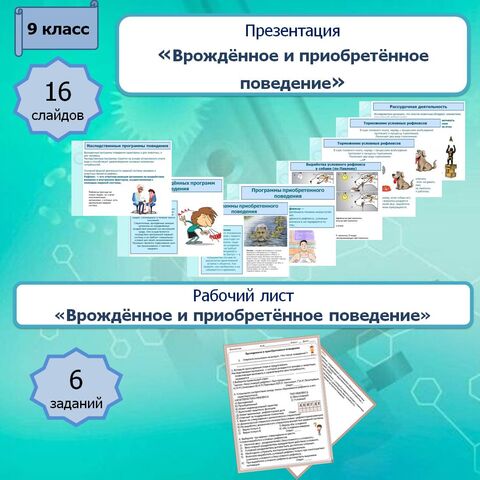 Презентация 