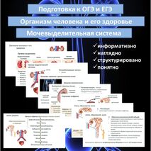 Презентация «Мочевыделительная система» (Организм человека и его здоровье) для подготовки к ОГЭ и ЕГЭ