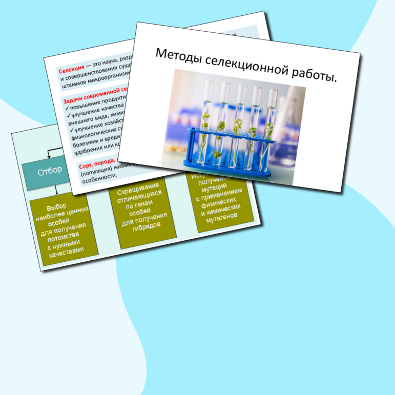 Презентация 
