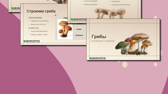 Обложка материала