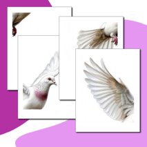 Оформление окон. Акция 