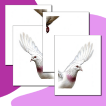 Оформление окон. Акция 