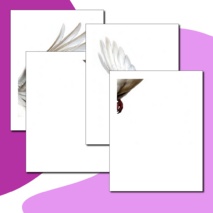 Оформление окон. Акция 