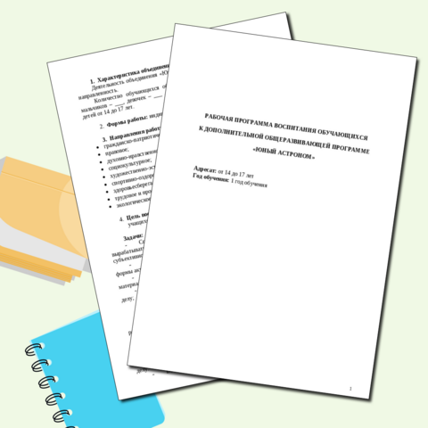 Рабочая программа воспитания к дополнительной общеразвивающей программе 