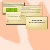 Экономические функции домохозяйств