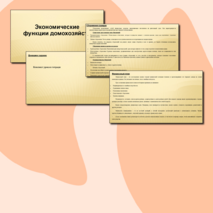 Экономические функции домохозяйств