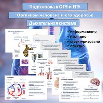 Презентация «Дыхательная система» (Организм человека и его здоровье) для подготовки к ОГЭ и ЕГЭ