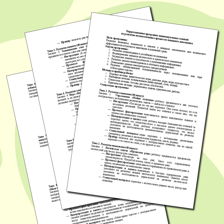 Коррекционная программа индивидуальных занятий на развитие познавательных процессов младшего школьника