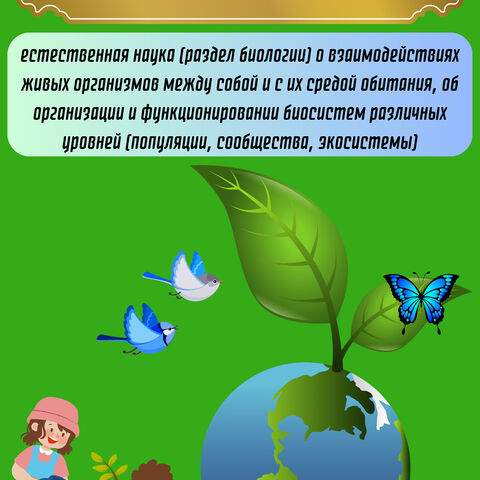 Лэпбук 