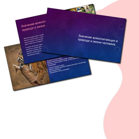 Презентация