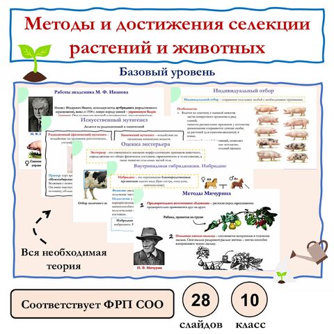 Презентация по биологии 