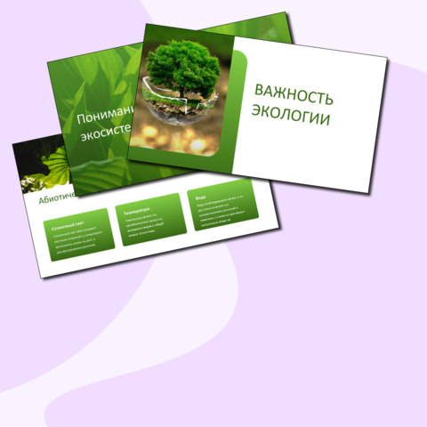 Презентация 
