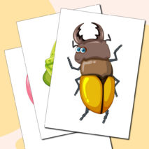 Конспект логопедического занятия №48. 