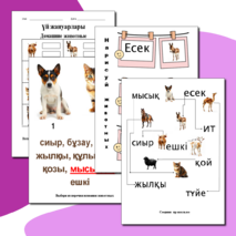 Карточки по казахскому языку 