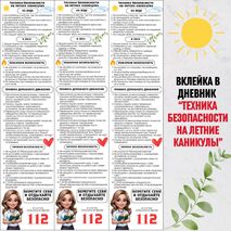 Вклейка в дневник 