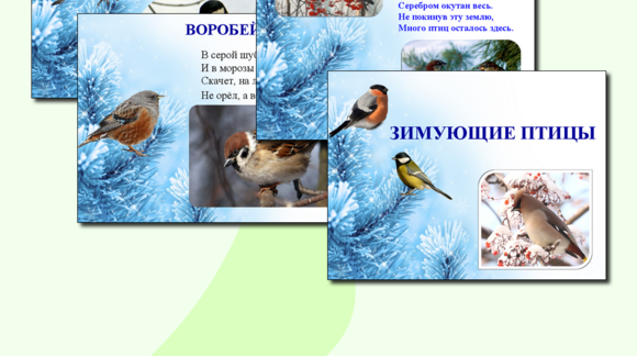 Обложка материала