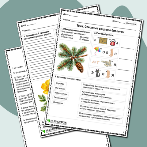 Рабочий лист по биологии «Основные разделы биологии»