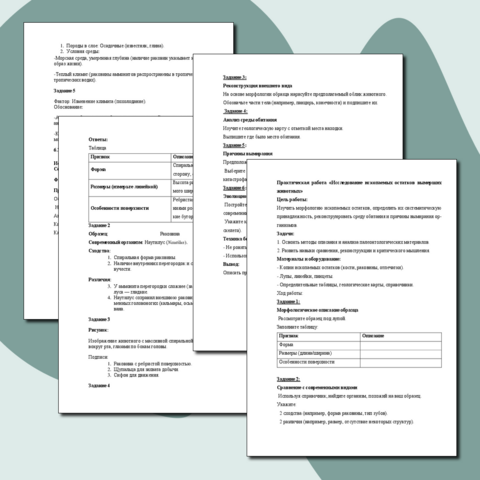 Практическая работа «Исследование ископаемых остатков вымерших животных»