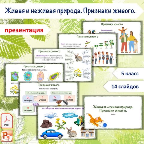 Презентация «Живая и неживая природа. Признаки живого», 5 класс