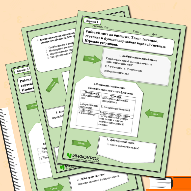 Рабочий лист по биологии «Значение, строение и функционирование нервной системы. Нервная регуляция».