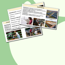 Презентация к уроку «Мир профессий. Профессии, связанные с деятельностью животновода» 8 класс. Вариативный модуль «Животноводство»