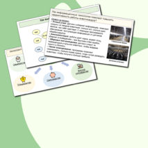 Презентация к уроку «Мир профессий. Профессии, связанные с деятельностью животновода» 8 класс. Вариативный модуль «Животноводство»