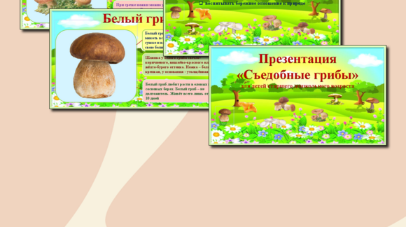 Обложка материала