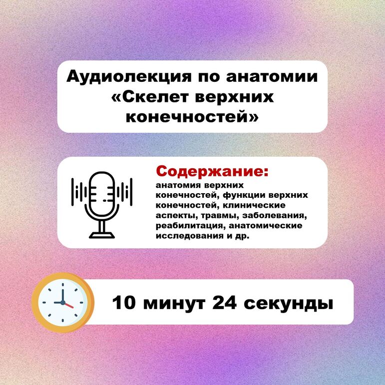 Аудиолекция по анатомии: «Скелет верхних конечностей».
