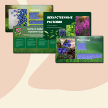 Презентация 