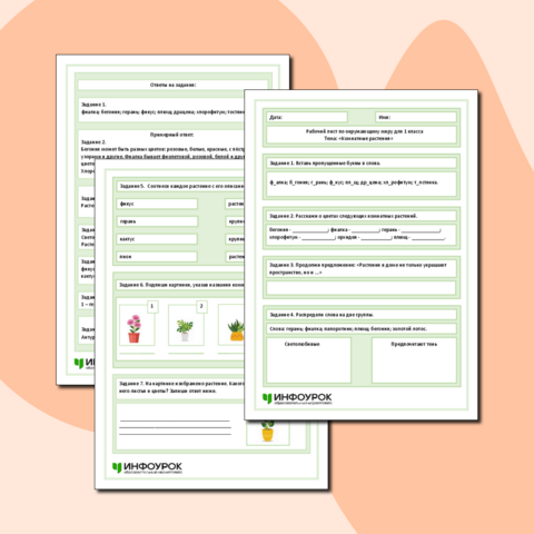 Рабочий лист по окружающему миру для 1 класса. Тема: «Комнатные растения»