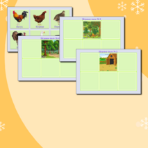 Дидактическая игра «Птицы»