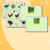 Дидактическая игра «Птицы»