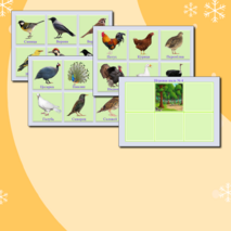 Дидактическая игра «Птицы»