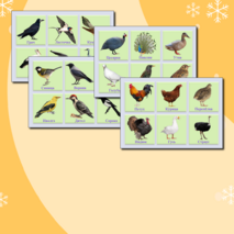 Дидактическая игра «Птицы»