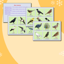 Дидактическая игра «Птицы»