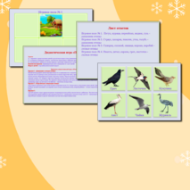 Дидактическая игра «Птицы»