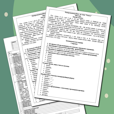 Контрольная работа по русскому языку 6 класс 