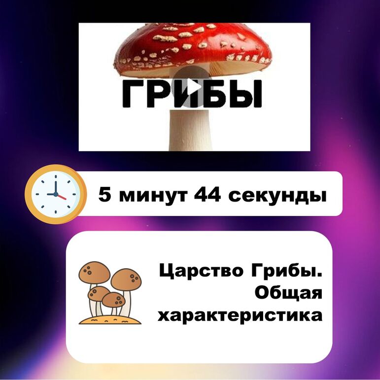 Видеоурок по биологии: Царство Грибы. Общая характеристика