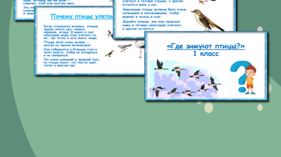Обложка материала