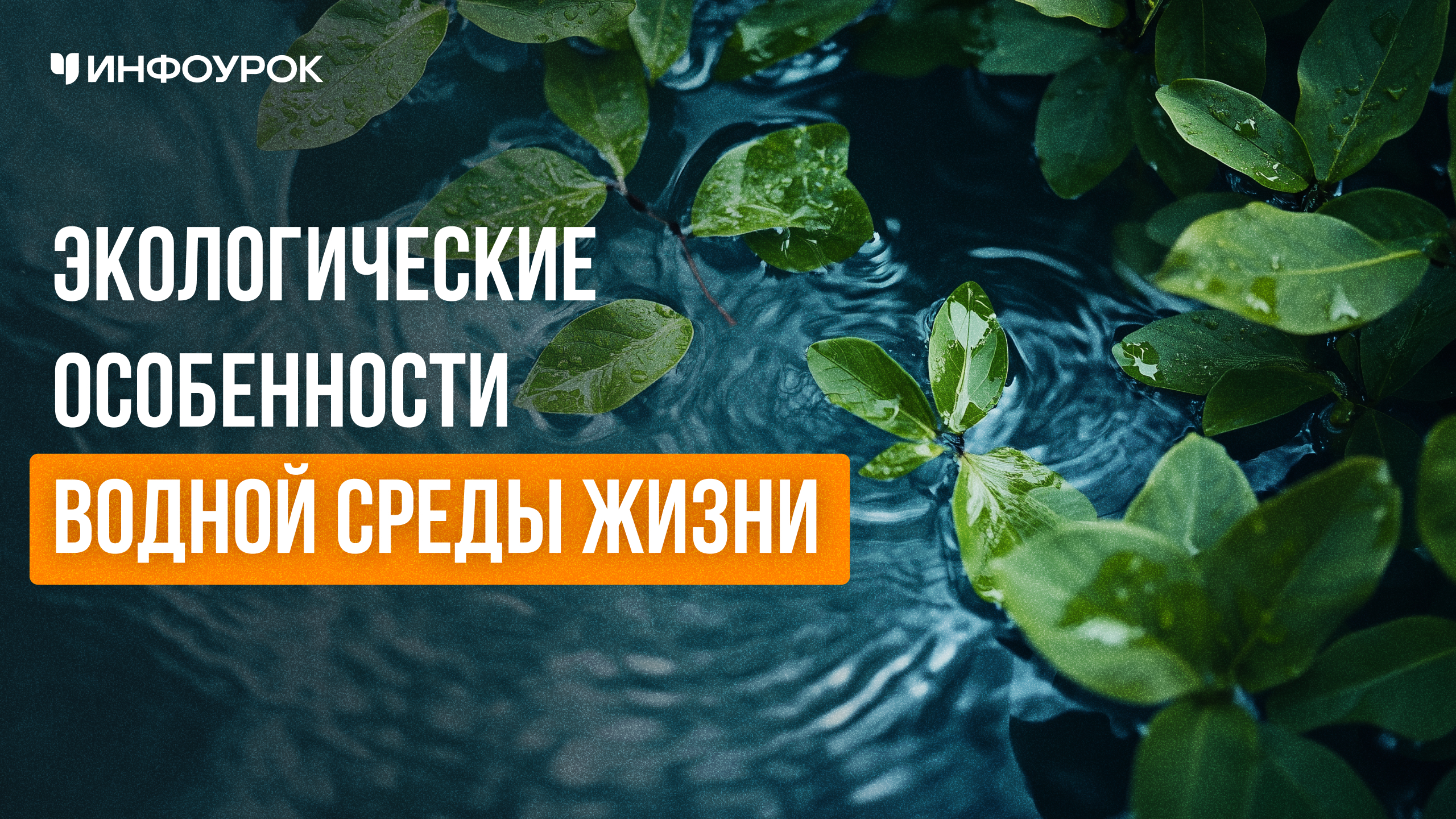 Обложка курса