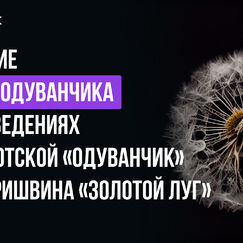 Обложка курса 'Поэтика природных образов в произведениях «Одуванчик», «Золотой луг» и «Зимний день»'