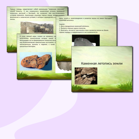 Презентация 