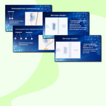 Презентация по физике для 8 класса по теме «Электризация тел. Два рода зарядов. Взаимодействие заряженных тел».