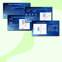 Презентация по физике для 8 класса по теме «Электризация тел. Два рода зарядов. Взаимодействие заряженных тел».