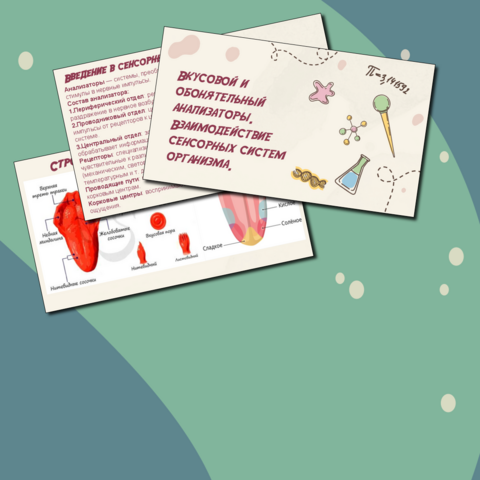 Презентация 