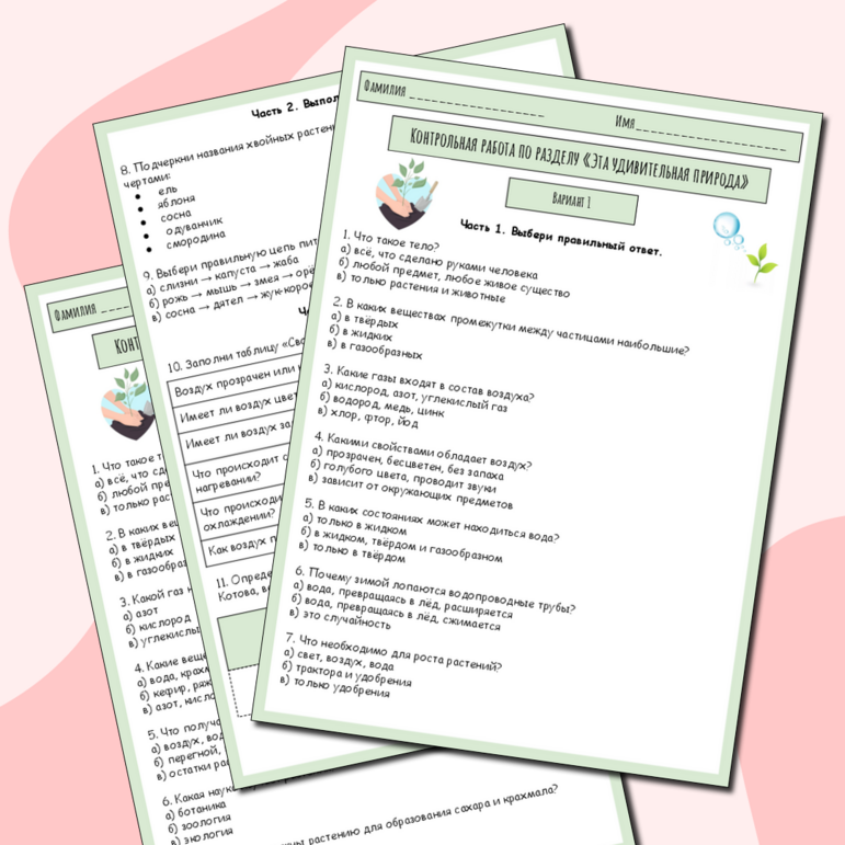 Контрольная работа по окружающему миру по разделу «Эта удивительная природа» 3 класс