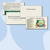 Презентация 
