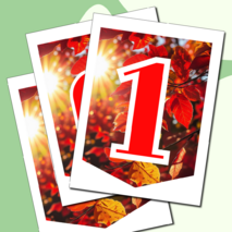 Растяжка флажки 1 сентября День знаний