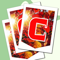 Растяжка флажки 1 сентября День знаний