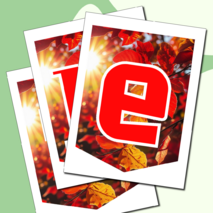 Растяжка флажки 1 сентября День знаний